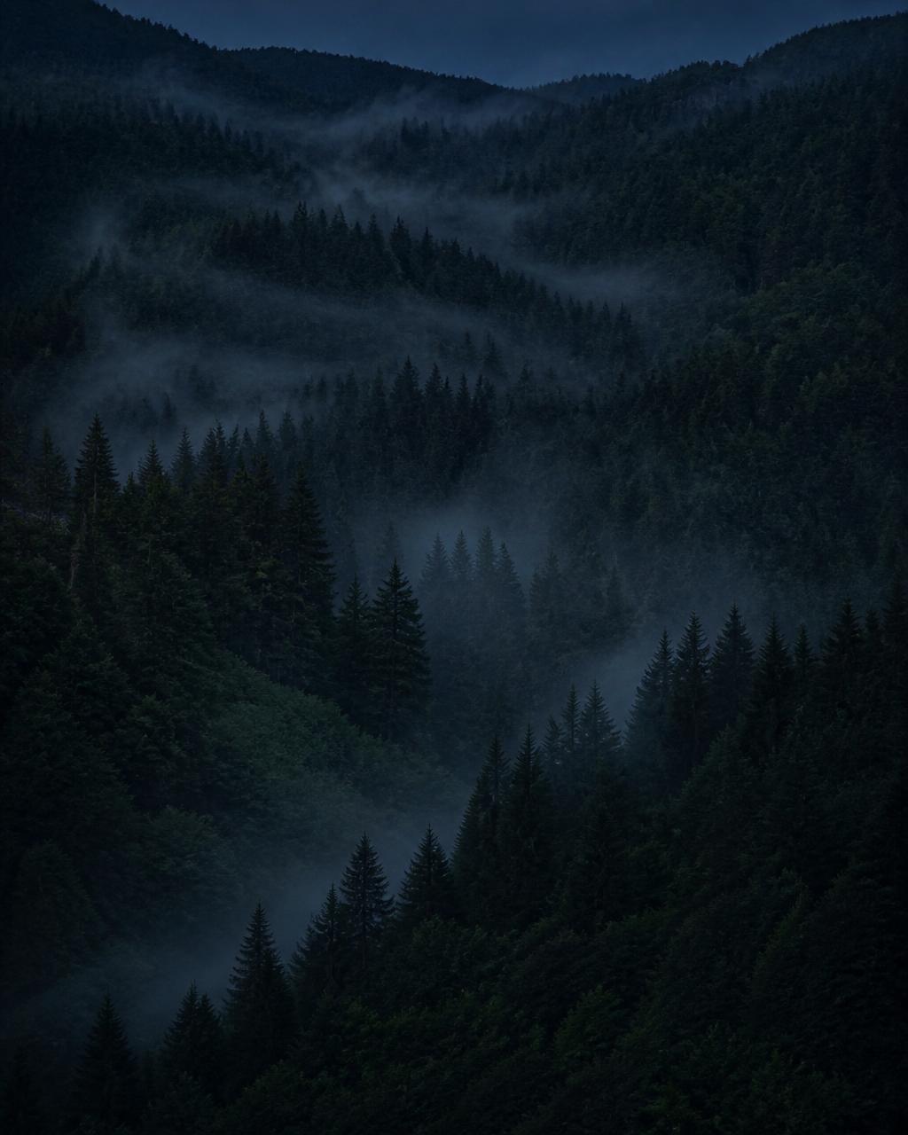 The Silent Valley